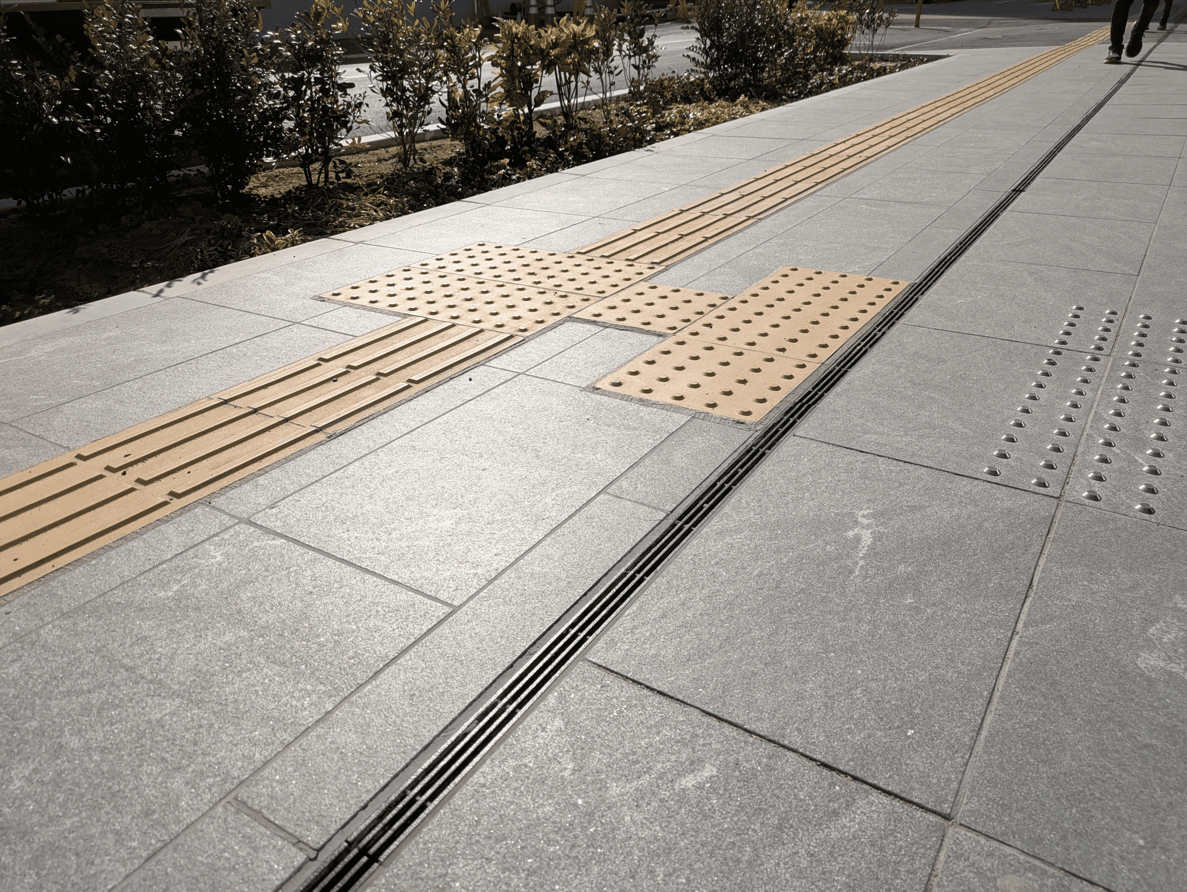 点字ブロックの画像